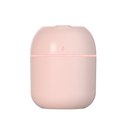 MiniMist